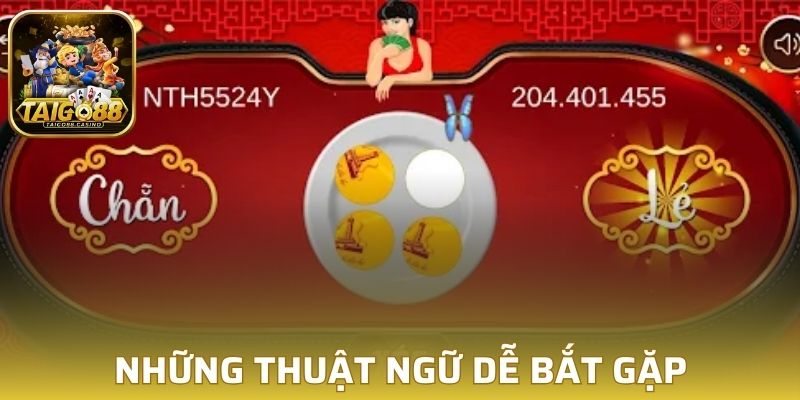 Những thuật ngữ dễ bắt gặp khi chơi xóc đĩa Go88