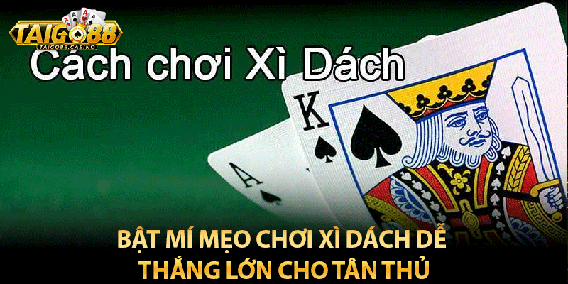 Bật mí mẹo chơi xì dách dễ thắng lớn cho tân thủ